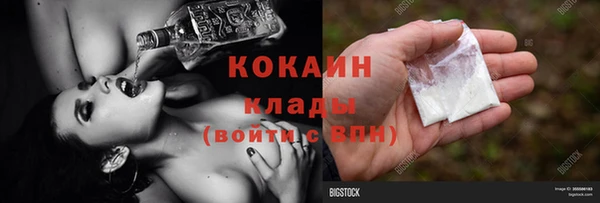 спиды Михайлов
