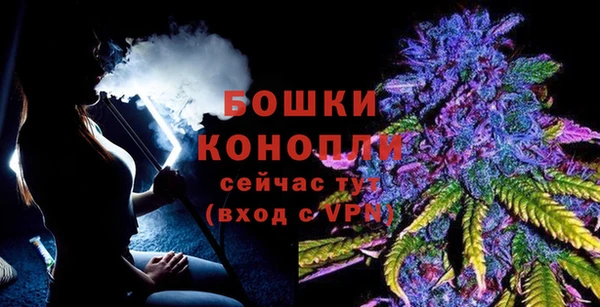 шишки Михайловка