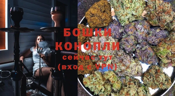 спиды Михайлов