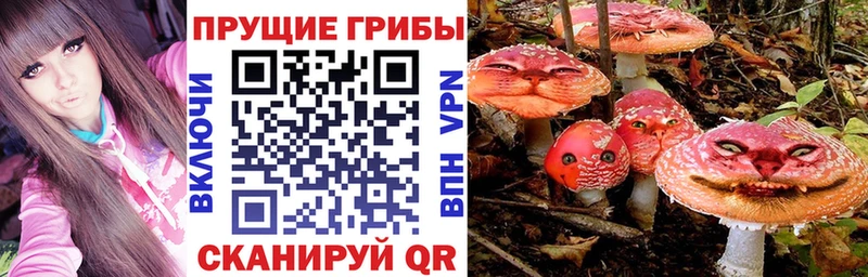 купить наркотики сайты Чадан Псилоцибиновые грибы ЛСД